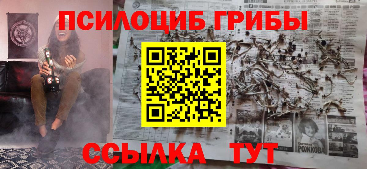 Галлюциногенные грибы Psilocybe  Вход с VPN  Красноармейск 